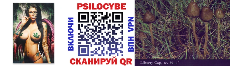 как найти закладки  Чусовой  Псилоцибиновые грибы Magic Shrooms 